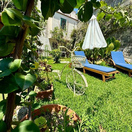 Апартаменты Gogas Amalfi Coast Четара Экстерьер фото